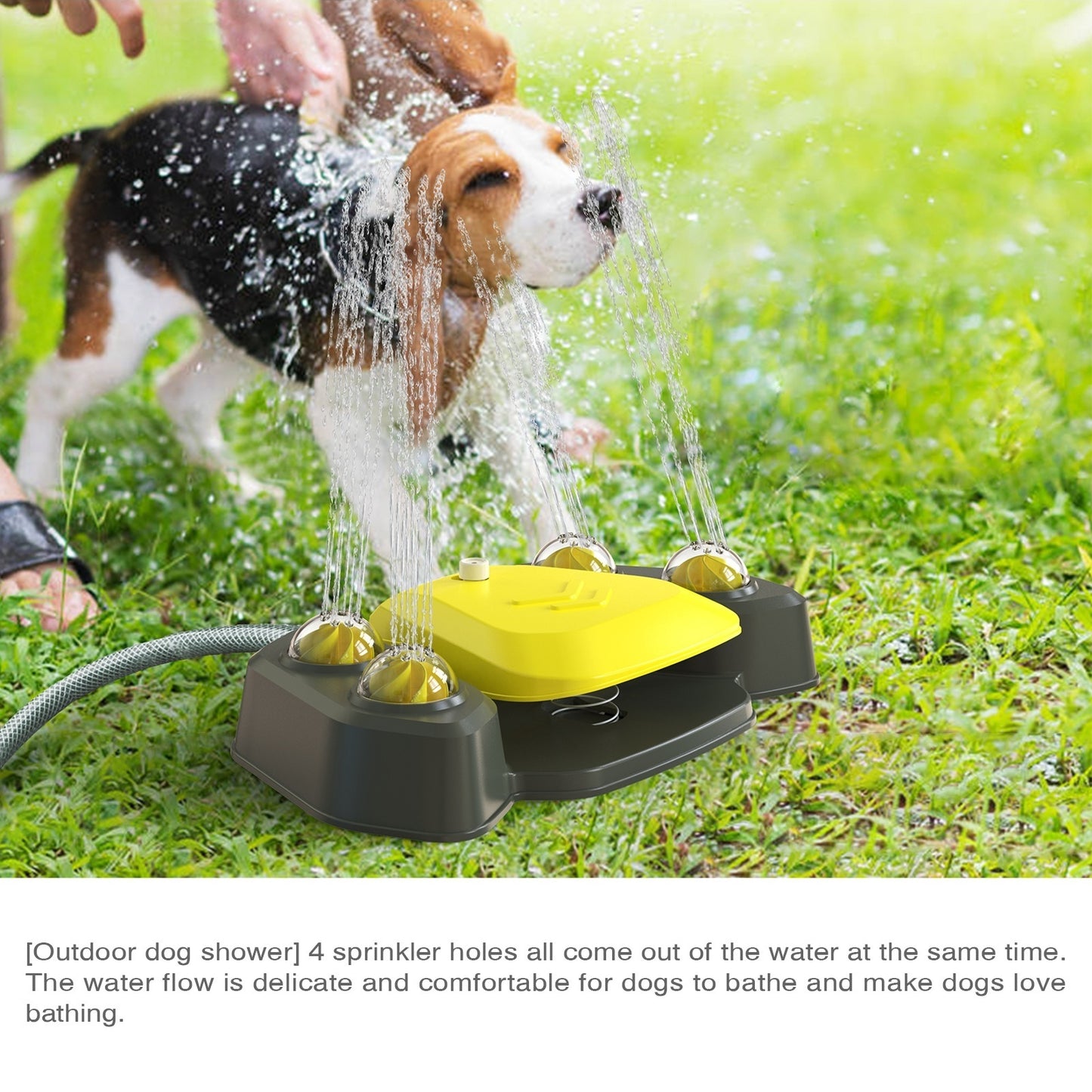 1pc automatischer Haustier-Wasser brunnen für den Außenbereich Interaktives Hunde-Bad-Sprinkler-Hundefutter-Spielzeug-Bade-Sprinkler-Werkzeug