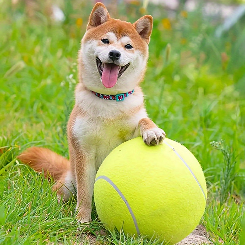 1pc Interaktives Hundes pielzeug-24cm \ u002F 9,5 in Haustier-Tennisball werfer für Training und Spielzeit