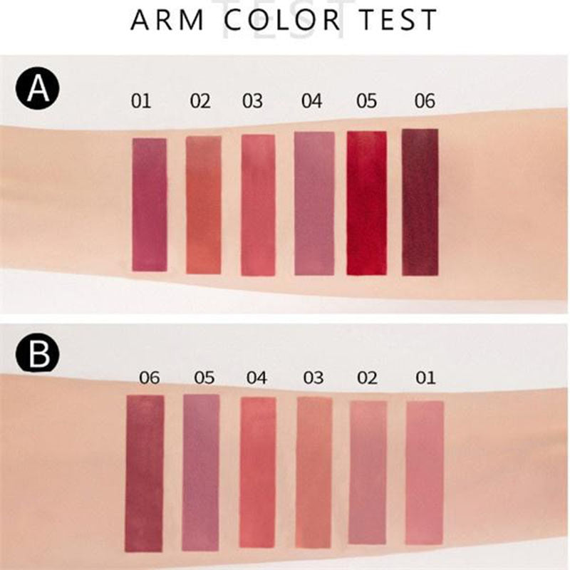 6 Pcs\u002FSet New Long Lasting Waterproof Lipstick Set Women Lips Makeup Cosmetic