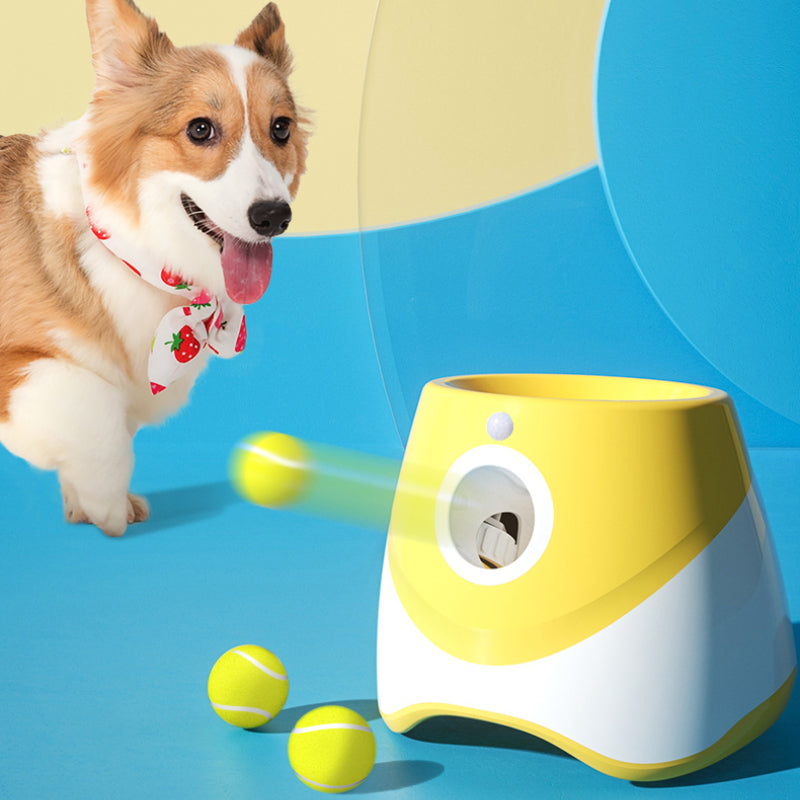 Lanceur automatique de boule de chien-jouet interactif pour animaux de compagnie pour la formation et l'exercice Fetch