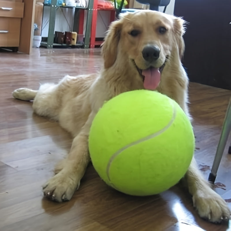 1pc Interaktives Hundes pielzeug-24cm \ u002F 9,5 in Haustier-Tennisball werfer für Training und Spielzeit