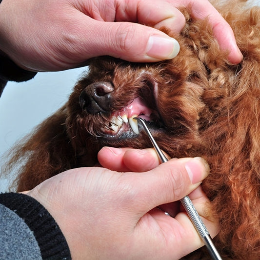 Herramientas de limpieza de dientes de mascotas Perros de doble cara Gatos Removedor de tártaro Dental Stones Inoxidable Suministros para mascotas