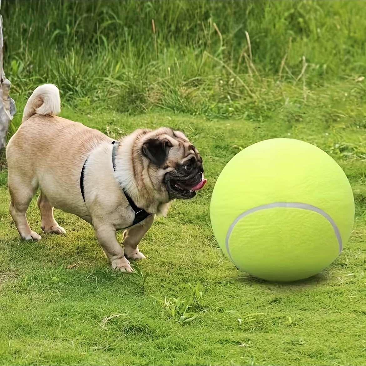 1pc Interactive Dog Toy - 24cm\u002F9.5in Pet Tennis Ball Thrower For Training And Playtime