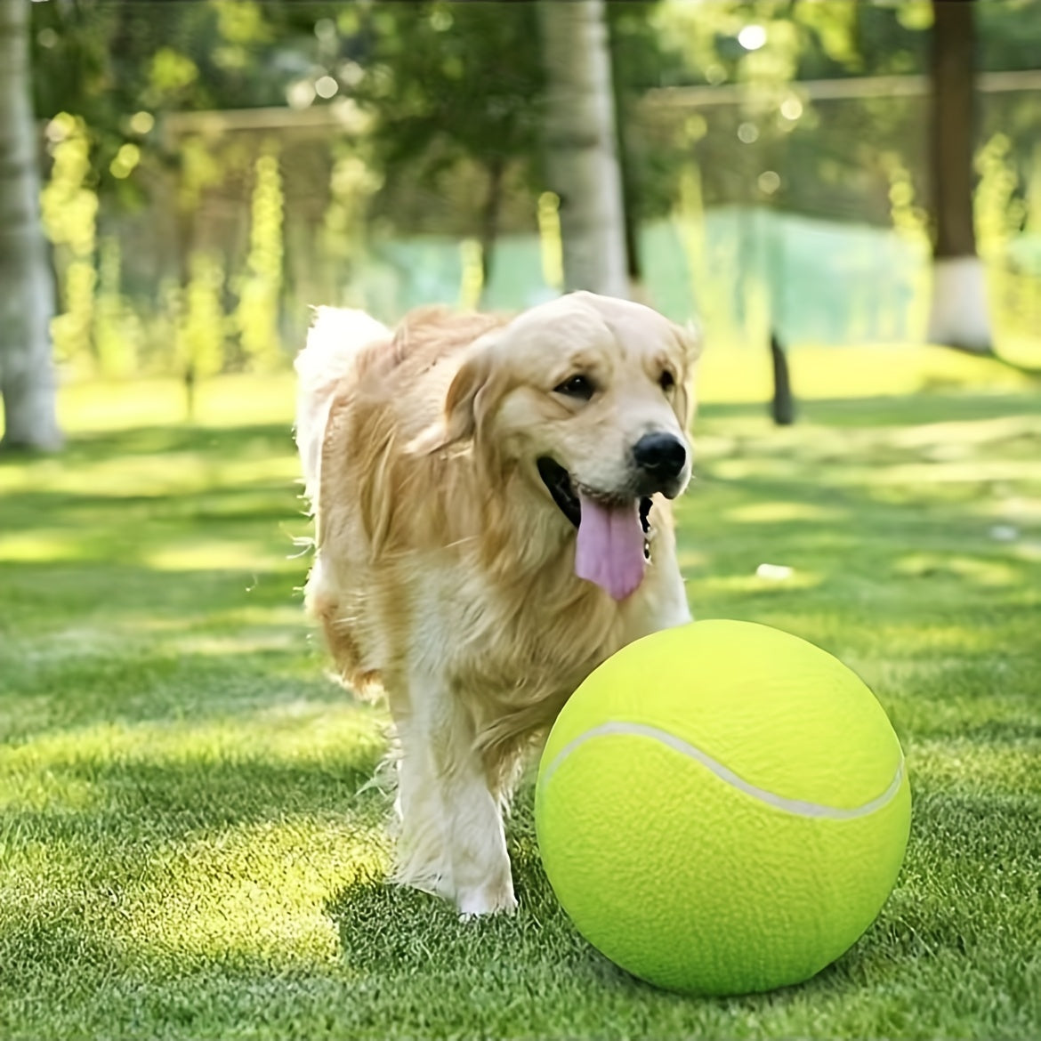 1pc Interaktives Hundes pielzeug-24cm \ u002F 9,5 in Haustier-Tennisball werfer für Training und Spielzeit