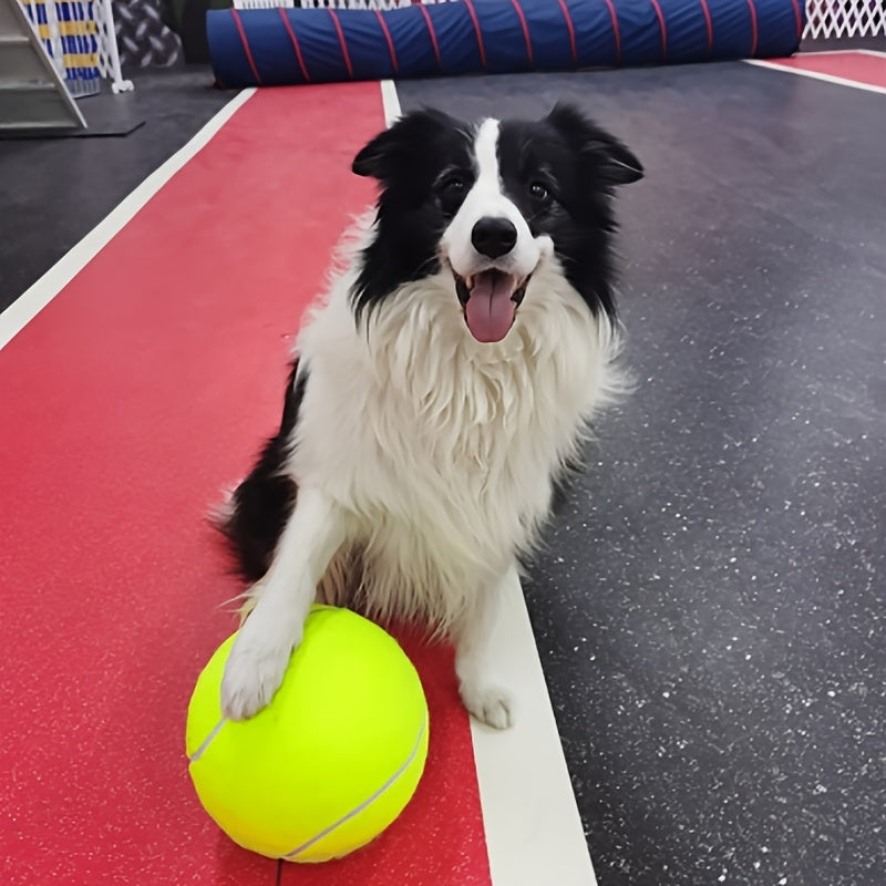 10 stücke Zufällige Farbe Haustier Spielzeug Set Quietschende Emaille Für Katze Hund Backenzähne Reinigung Langlebig Kauen Spielzeug Training Bälle