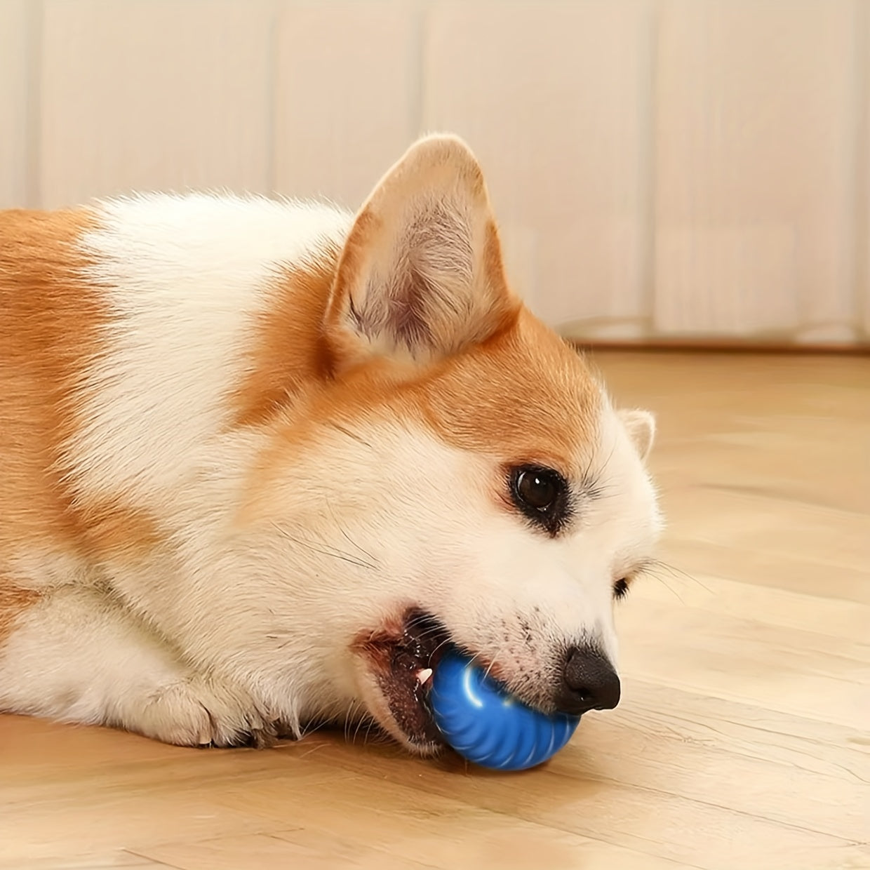 1 Stück Haustier-Schwerkraft-Typ-C-Aufladung automatisches Rollball-Spielzeug langlebiges Hunde-Kau-Ball-Spielzeug Haustier-Schleif zähne Spielzeug Schwerkraft-Jumping-Ball-Spielzeug für Hunde interaktive Zubehör