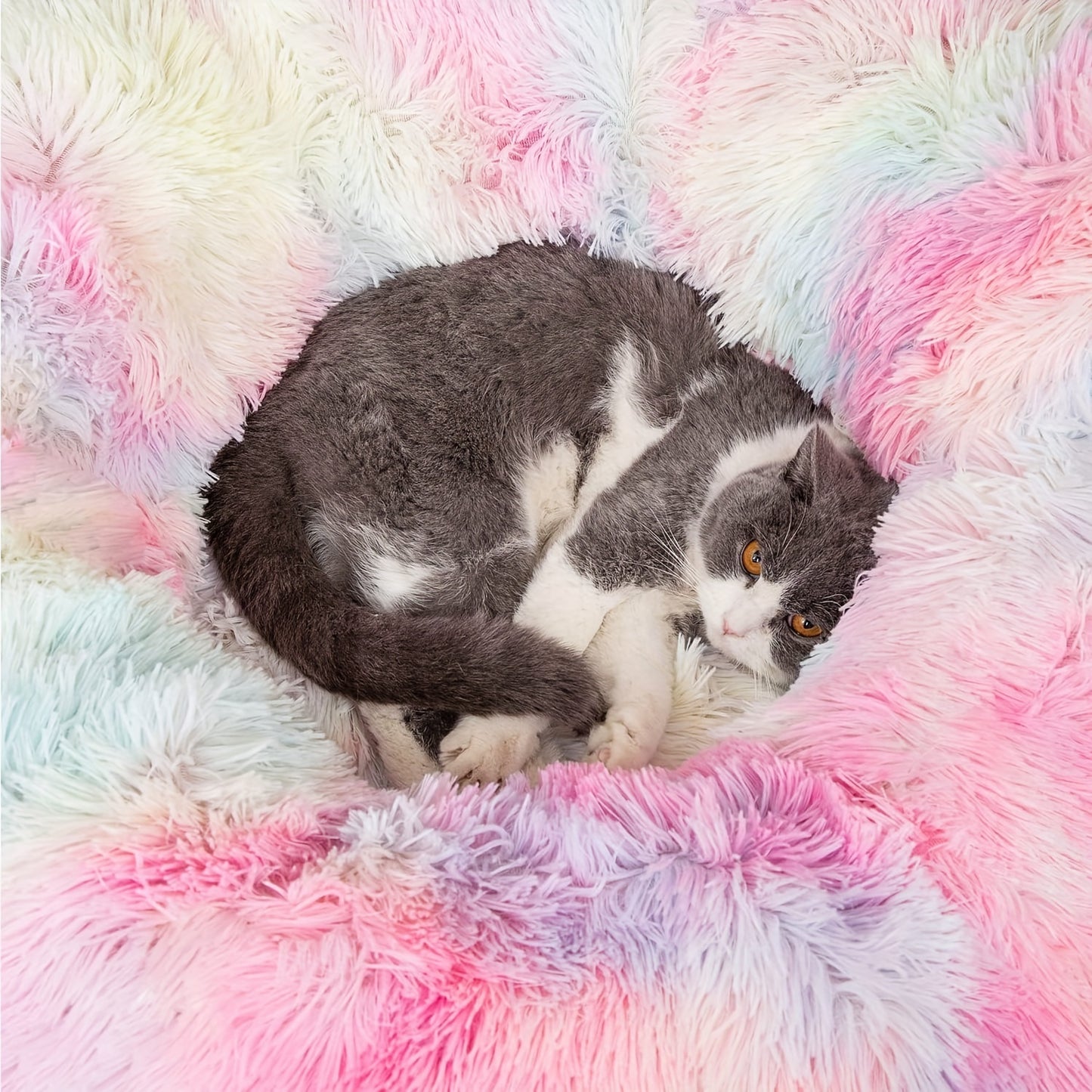 Warme Plüsch Katze und Hund Tunnel Bett große Röhre Spielplatz Spielzeug faltbar, geeignet für Indoor-Katzen Kätzchen Welpen Kaninchen