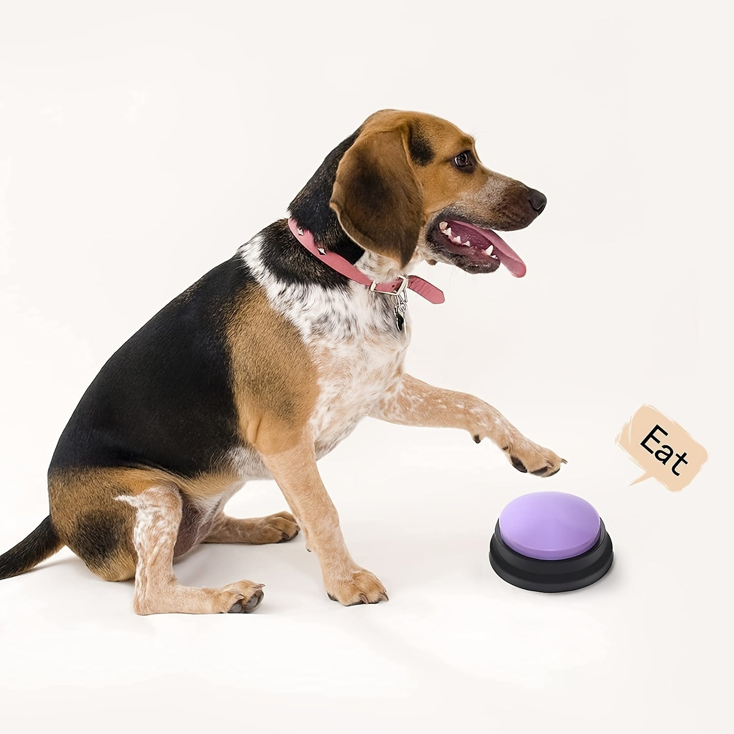 Train Your Dog To Talk With 4 Voice Recording Buttons - No Batteries Required!